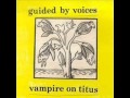 Guided By Voices - Sot