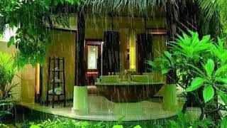 Rainy Good Morning Whatsaap Status - Nature