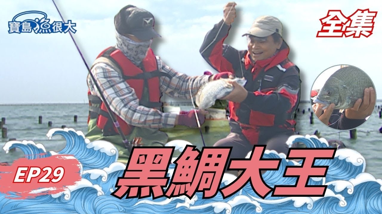 蚵農天敵現身！黑鯛爆衝讓沈哥崩潰斷線！| 寶島漁很大 | 全集