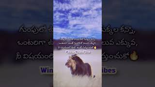 ఇలా ఉన్న వాళ్లకి విలువ దక్కుతుంది. #winnersmotivevibes #trending #shorts #subscribe #viral #respect