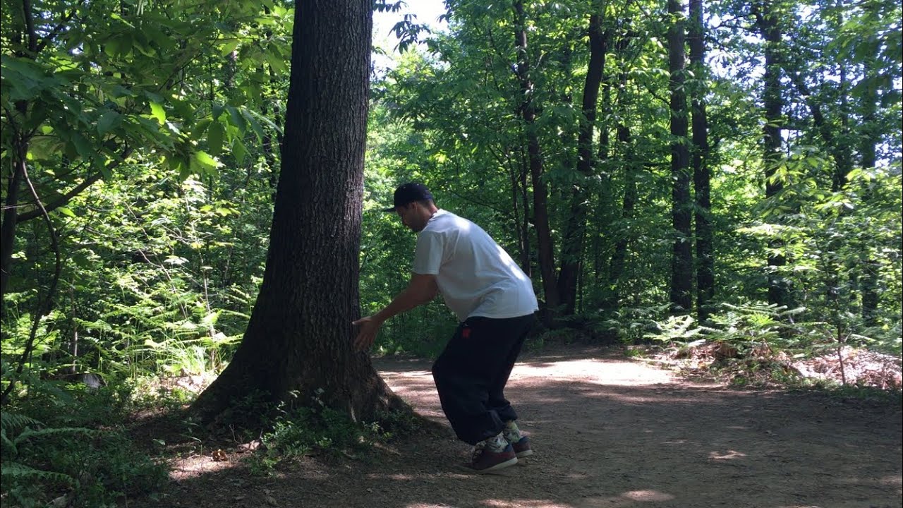 BOUNCY TREE (Elevator) FASCIA OUTDOOR TRAINING 1 Minute Abs Legs