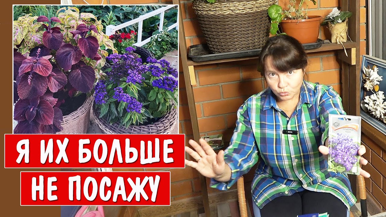 Мои ПОСЕВЫ 2025. Что я больше НЕ ПОСЕЮ НИКОГДА?