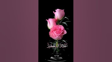صباح الخير 🌺اجمل حالات واتس اب مقاطع قصيره قران كريم🌺 خواتيم سورة الحشر هو الله🌺 الطبلاوي بدون حقوق