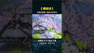 Chinese Zither Coral Ode: Calming Sea Fantasy #relaxingmusic #instrumentalmusic