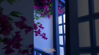 A day at Basha Istanbul Islamabad 🤍 #girls #dayout #islamabad #restaurant #f7 #travel #reels #video