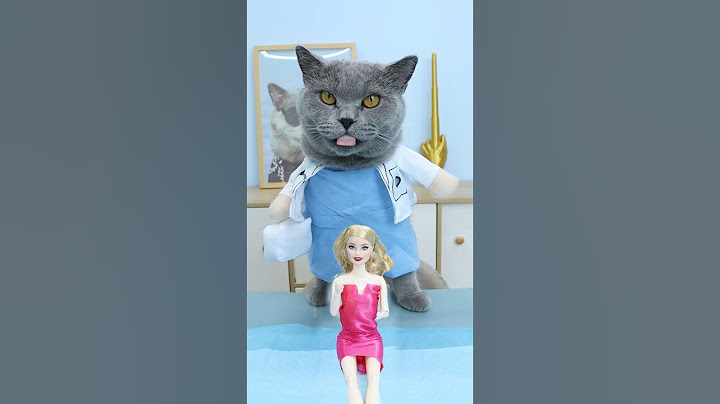Help!🥺 Can Dr. Oscar Magically Heal The Broken Doll?🩹🎀 #catvideo #catmemes #trending
