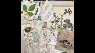 Got paper? Make these Junk Journal ideas!