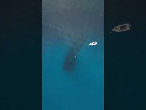 Drone Shot After The Record