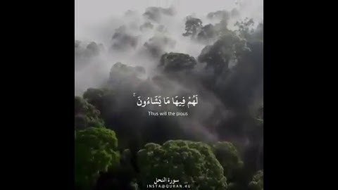 تلاوة رائعة الشيخ احمد النفيس