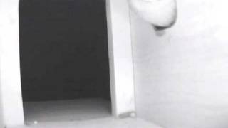 ID Barn owl nestbox 140320...looking back.avi