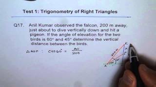Vertical Distance Between Birds Application Trig Ratio Test Q17