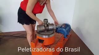 Peletizadoras do Brasil  Montagem #peletizadora #pelotizadora #pelet #pelete #pellet