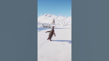 What Happens When a King Penguin Enters a Polar Bear Den