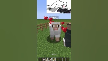 jeb_ + Dinnerbone sheep [minecraft] #shorts