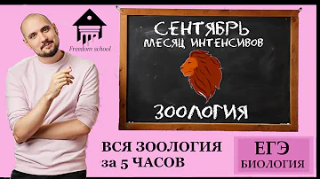 Вся ЗООЛОГИЯ за 5 ЧАСОВ! (ЧАСТЬ 2 - ХОРДОВЫЕ) |ЕГЭ БИОЛОГИЯ|Freedom|