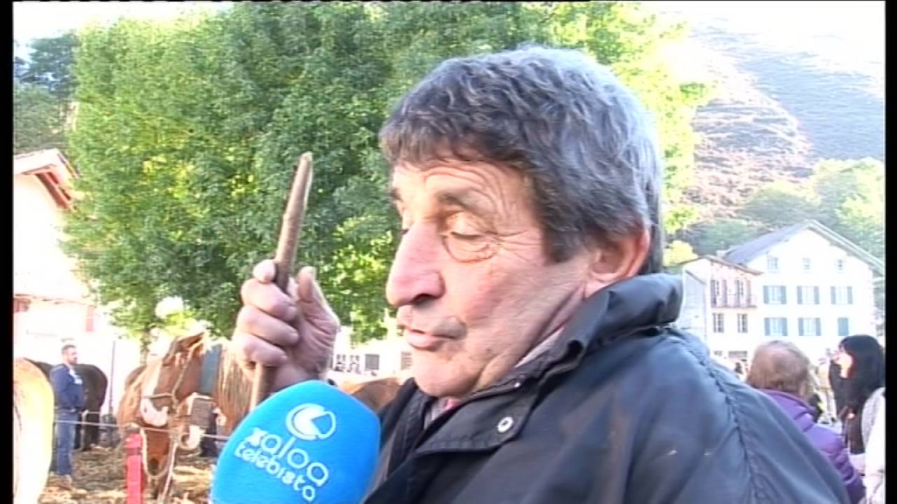 Aldudeko Feriak Ate irekien egunak (Erreportajea)