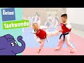 Wie Läuft Ein Taekwondo Training Ab Der Elefant WDR