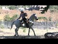 Ya tengo Vaquero para cuidar el Rancho de vacas Dañeras / Llego como Heroe