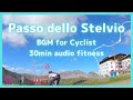 【作業用BGM：30分】Passo dello Stelvio Descent - ステルヴィオ峠下り 【スプリント30分ローラー台トレーニング用動画】