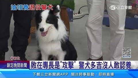 百人搶領養退役警犬！新主人嗨喊「太幸運」｜三立新聞網 SETN.com