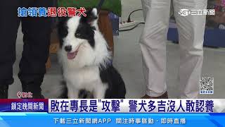 百人搶領養退役警犬新主人嗨喊「太幸運」三立新聞網 SETN.com