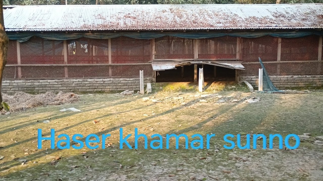 Haser khamar lave. Haser rog. Haser Kramer loss. Haser khamar sunno. Has palon. 