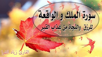 سورة الملك و سورة الواقعة تلاوة هادئة راحة نفسية بصوت جميل || القارئ زياد الشوا💎 surah al mulk