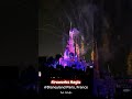 MERAYAKAN ULTAH YANG KE 46 TAHUN DI PARIS DISNEYLAND | YUKI YULIATIN, MANTAN ISTRI BULE DI IRLANDIA