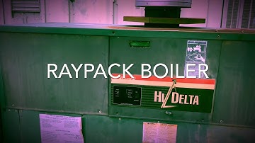 HVAC!!!!!!HOW TO CHECK RAYPACK BOILER  ( Not Working )