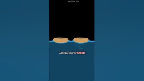 Fluid Surface Physics