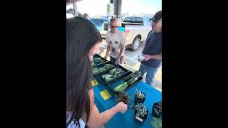Marshalltown Farmers Market 