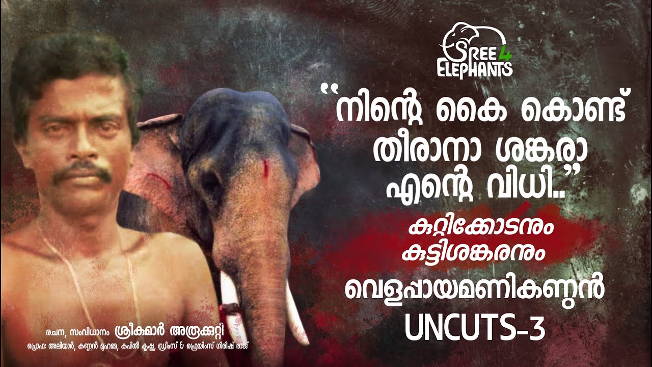 ആനക്കാരിലെ അതുല്യപ്രതിഭയായ കുറ്റിക്കോടനും ആനപ്പിറപ്പുകളിലെ തീപ്പൊരി തീരുവമ്പാടി കുട്ടിശങ്കരനും..