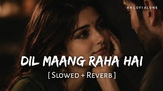 Dil Maang Raha Hai - Lofi (Slowed   Reverb) | Yasser Desai | Ghost | RN Lofi Alone