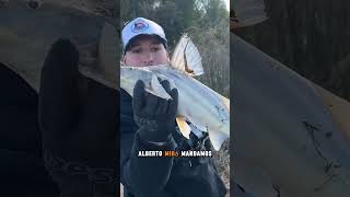 GRAN AVENTURA EN SAN PEDRO #pesca