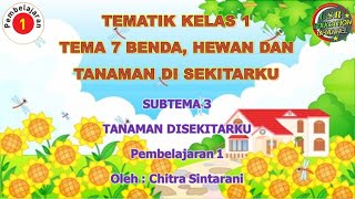 Kelas 1 Tematik : Tema 7 Subtema 3 Pembelajaran 1 (BENDA, HEWAN, DAN TANAMAN DI SEKITARKU)
