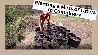 #185 Planting a Mess of Taters in Containers