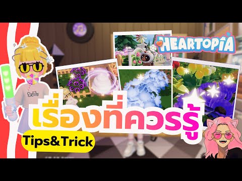 Heartopia: Tổng hợp các mẹo cần biết! (Phần 1)
