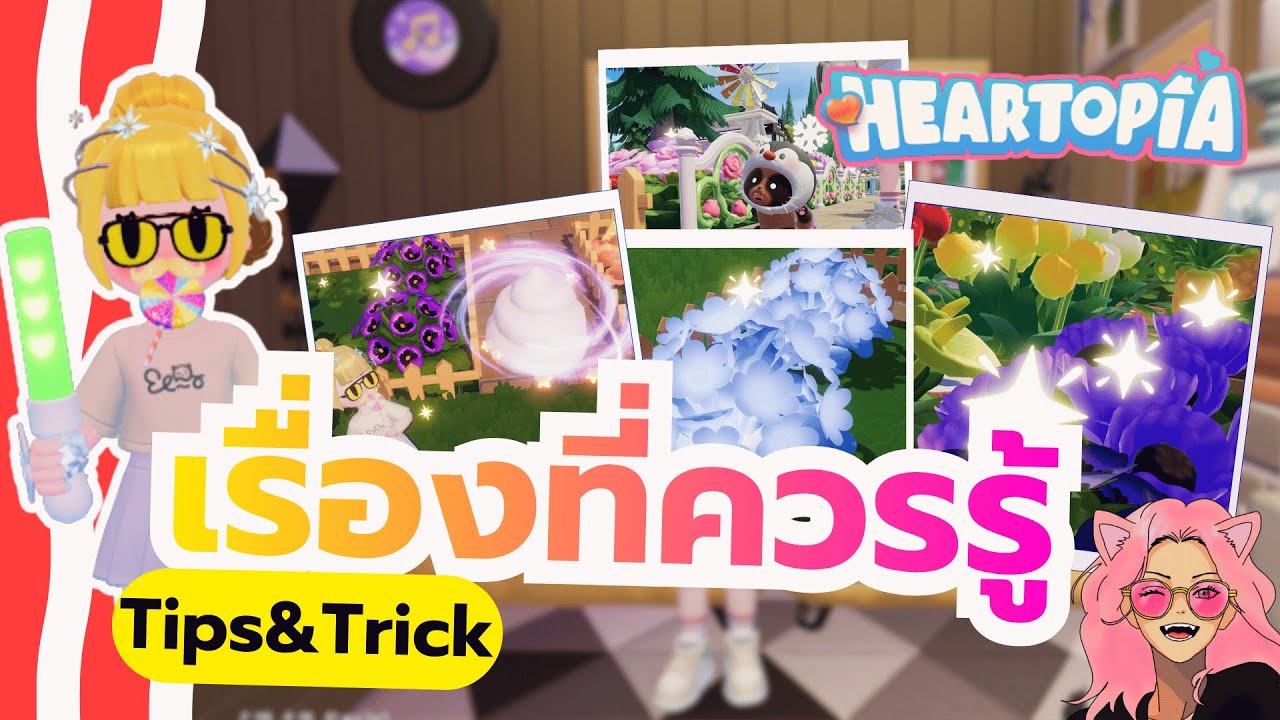 Heartopia: Обзор важнейших знаний. А вы знали это? [Часть 1]