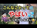 【庭仕事】自分のこれからが心配になった出来事！