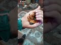 احله حرف نون احله حرف نون