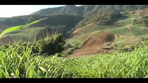 O que tem nas montanhas?