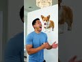 funny short #shortsfeed #achievemore #battleofchampions
