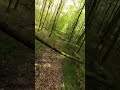 hello spring #fpv #drone #cinematic #spring #nature