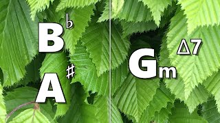 Video thumbnail of "Bb (A#) to Gm maj7 Backing Track"