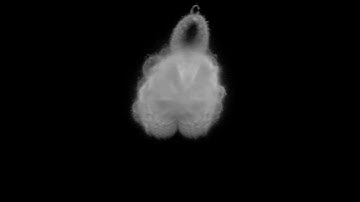 Anti-Buddhabrot Hologram ZrZi-ZrCr