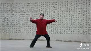 Foundations of Chen Family Taijiquan by Chen Bing