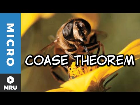 The Coase Theorem