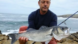 Pêche au bar du bord : 5 bars pris au leurre en direct live