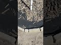 Фінал 05 04 2026 