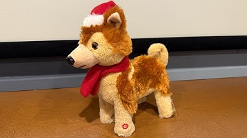 Gemmy-Prototype/Sample-Darling Dancing-Icelandic Sheepdog (For Sale)